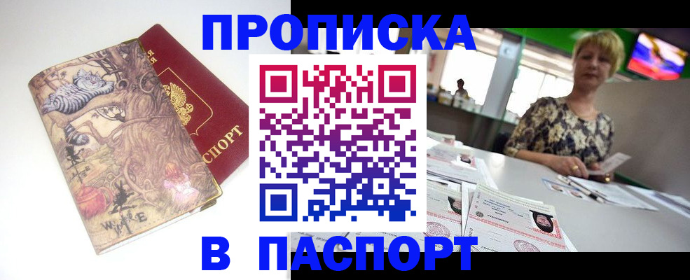 прописка гарантия в Мытищах